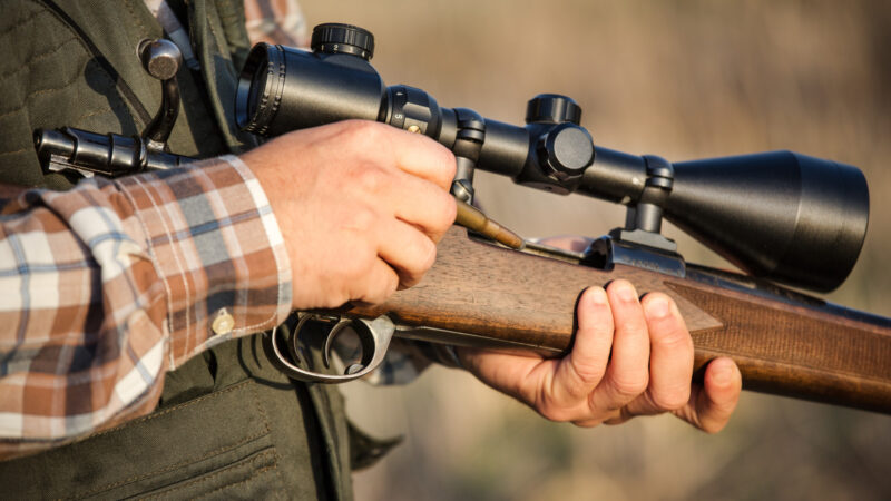 What to Look For When Buying a Rifle Scope
