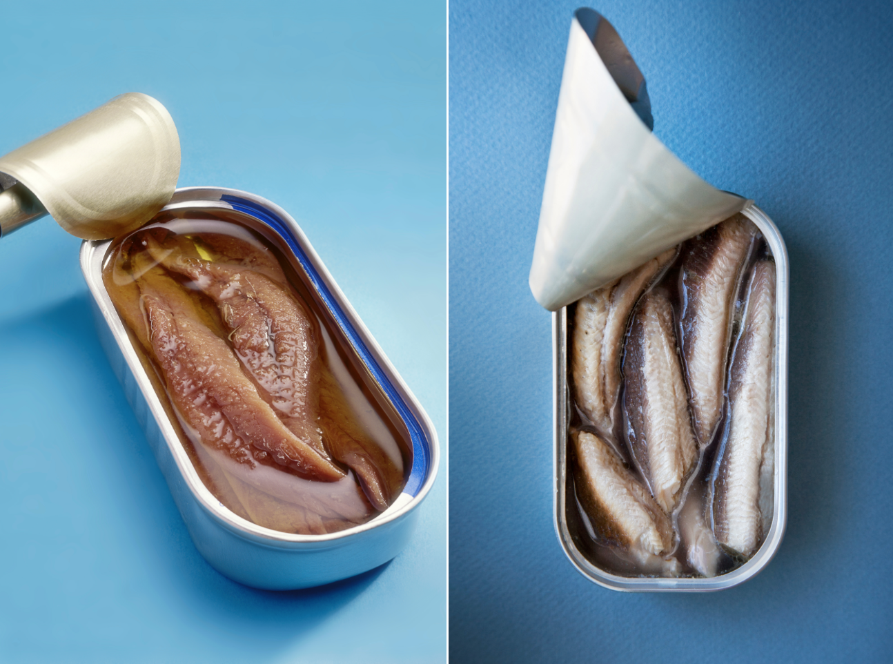What Is the Difference Between anchovies vs sardines?