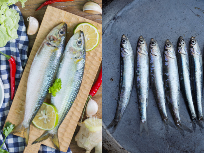 Anchovies vs. Sardines: What’s the Difference?