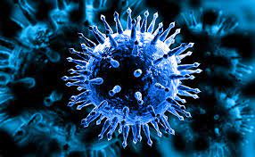 Flu Virus Overview